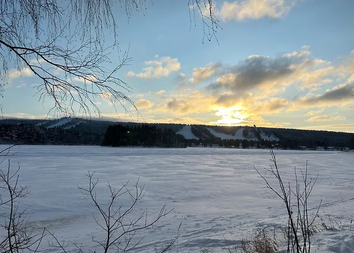 Kaamos City House