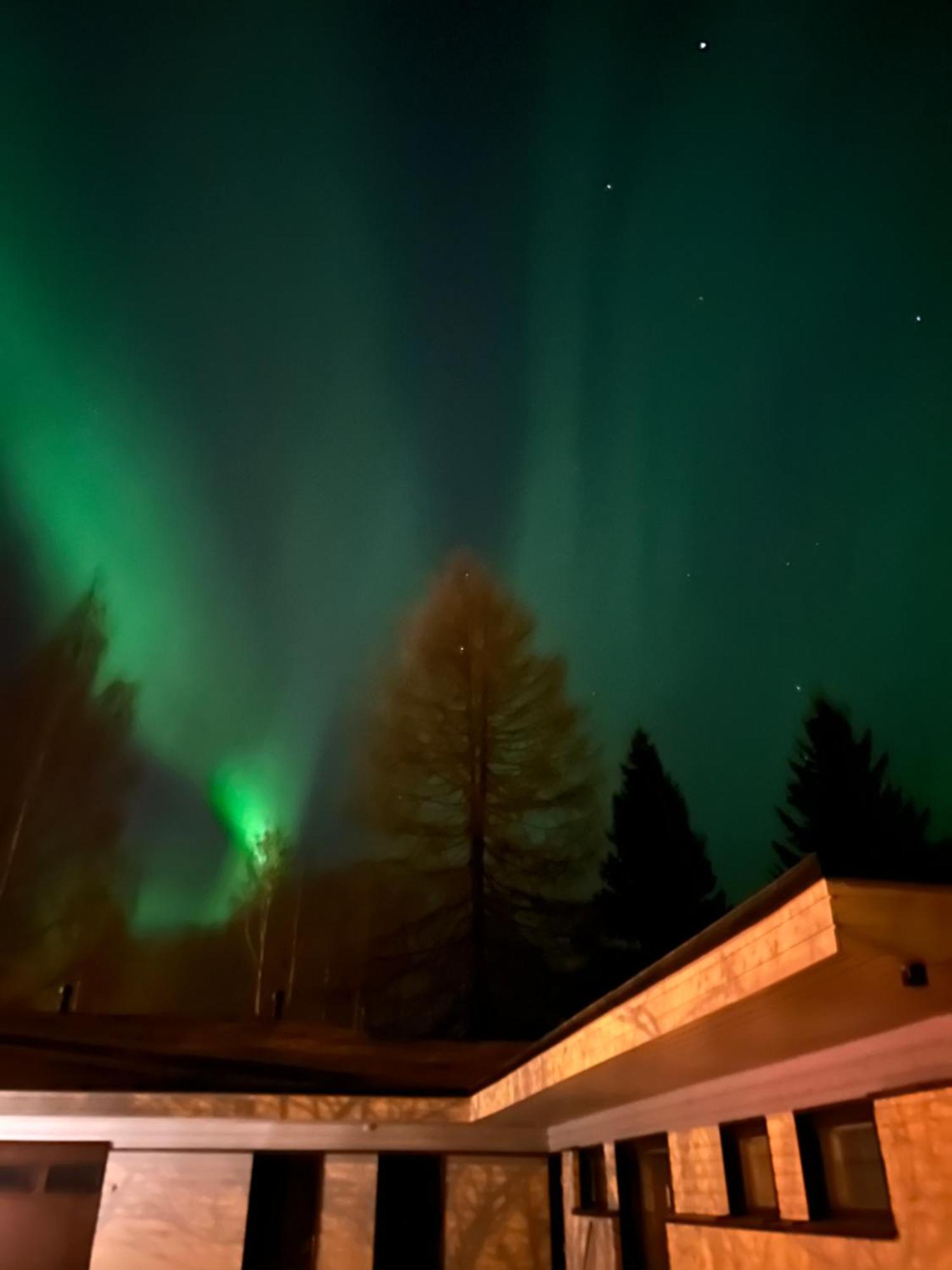Villa Kaamos House Rovaniemi